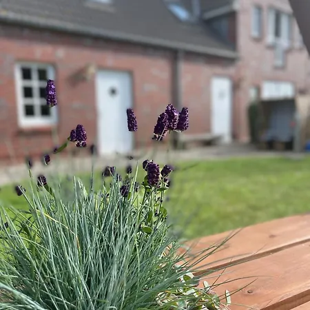 Appartement Max Bienenwachs