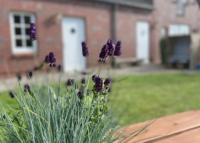 아파트 Max Bienenwachs